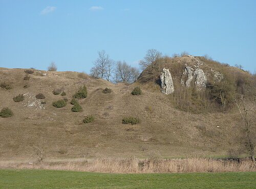 Blick auf die Überreste der Burg Wellwart, die in der Heidelandschaft zu sehen sind.