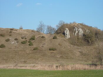 Blick auf die Überreste der Burg Wellwart, die in der Heidelandschaft zu sehen sind.