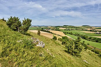 Blick von einem Aussichtspunkt, auf dem Rollenberg bei Harburg, auf das Ries.
