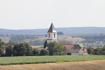 Blick auf Schaffhausen