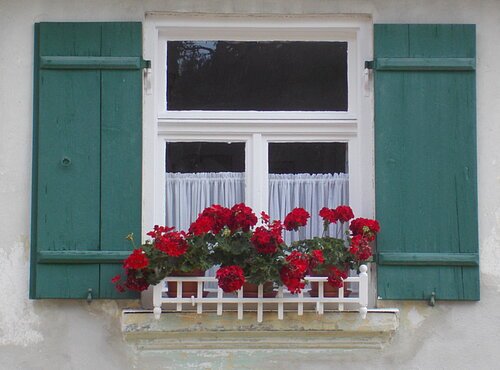 Blick auf ein Fenster mit grünen Fensterläden