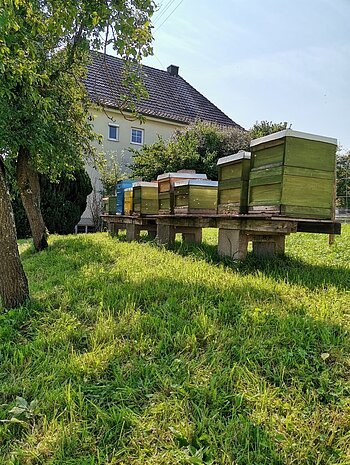Imkerstand in einer grünen Wiese