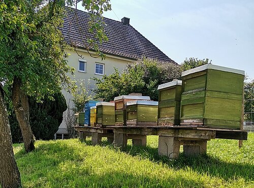 Imkerstand in einer grünen Wiese