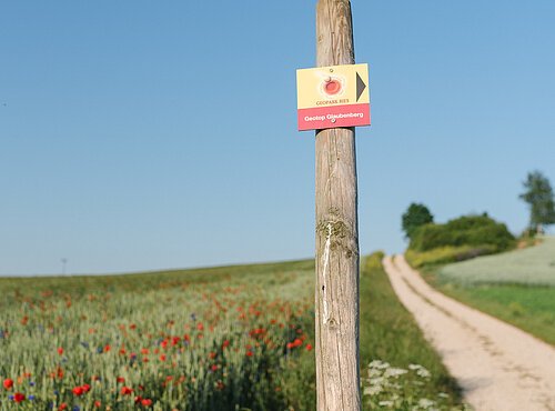 An einem Schotterweg neben einem Getreidefeld mit Mohnblumen ist ein Wegweiserschild des Geotops Glaubenberg an einem Holzpfahl angebracht.