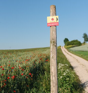 An einem Schotterweg neben einem Getreidefeld mit Mohnblumen ist ein Wegweiserschild des Geotops Glaubenberg an einem Holzpfahl angebracht.