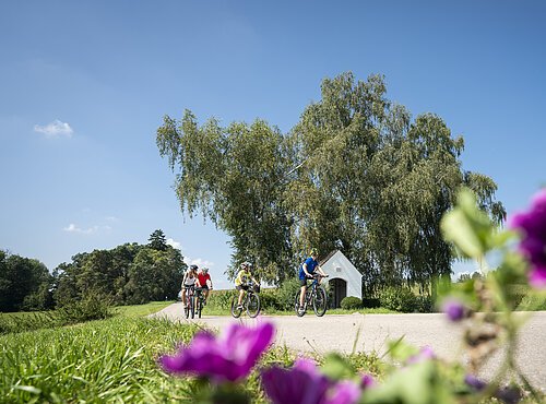 Drei Personen fahren auf Fahrrädern auf einem Weg, im Hintergrund Bäume und eine kleine Kapelle. Im Vordergrund unscharfe Blumen.