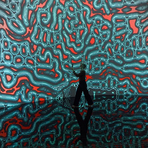 Mensch der ein Foto von einem Bild macht welches über den ganzen Raum geht