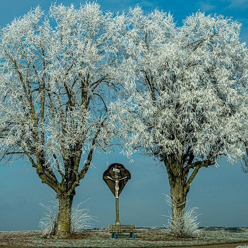 Gewinnerfoto des Monats Dezember