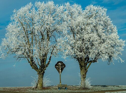 Gewinnerfoto des Monats Dezember