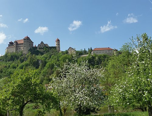 Die Harburg Blick vom Grasparkplatz