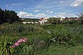 Thomas Schneid - Blick zur steinernen Brücke