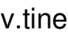 v.tine